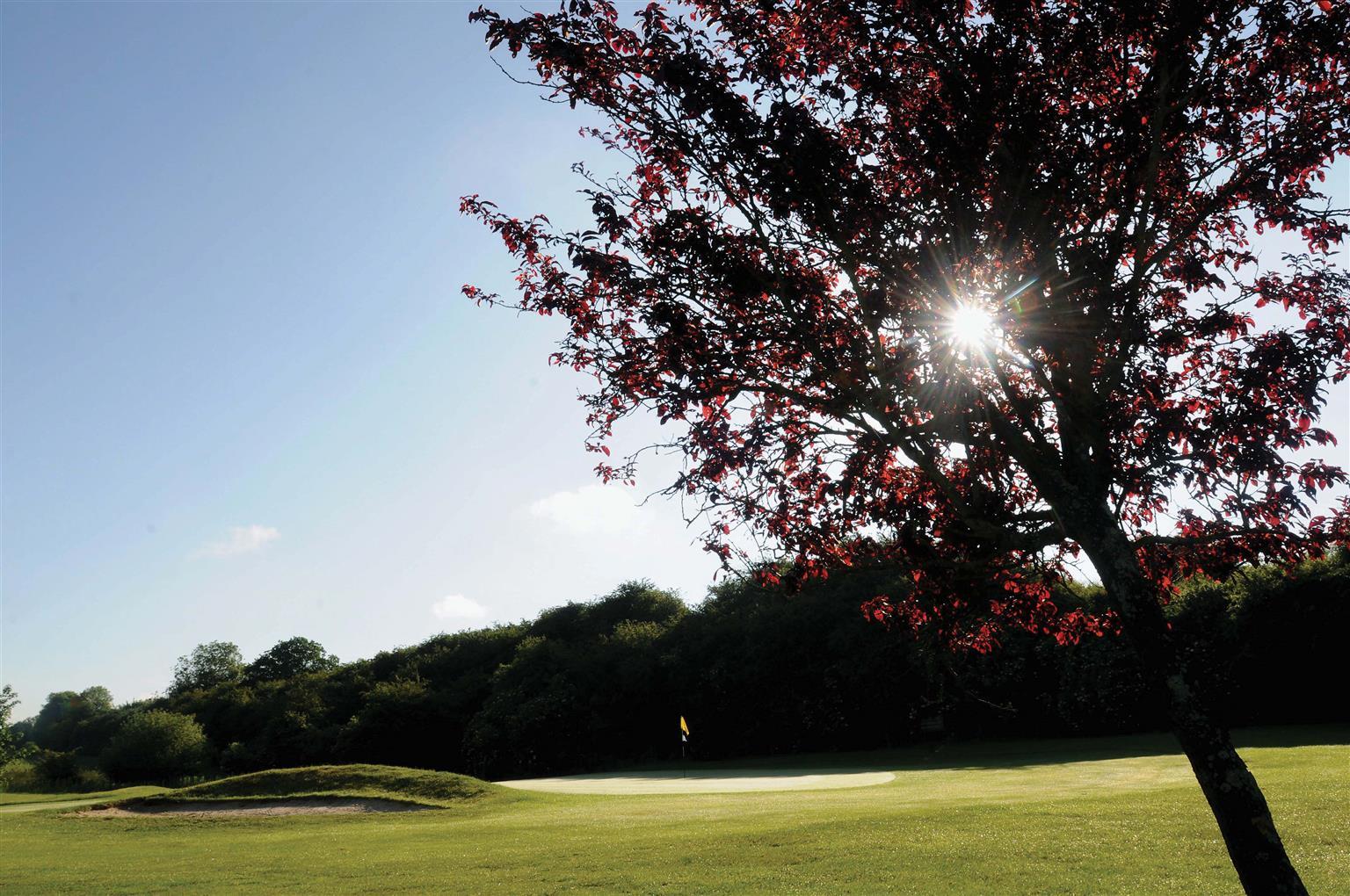 Best Western Plus Ullesthorpe Court Hotel & Golf Club Lutterworth Bekvämligheter bild